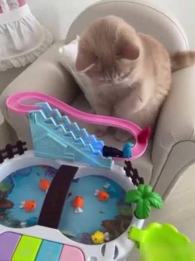 gotta keep the penguins going