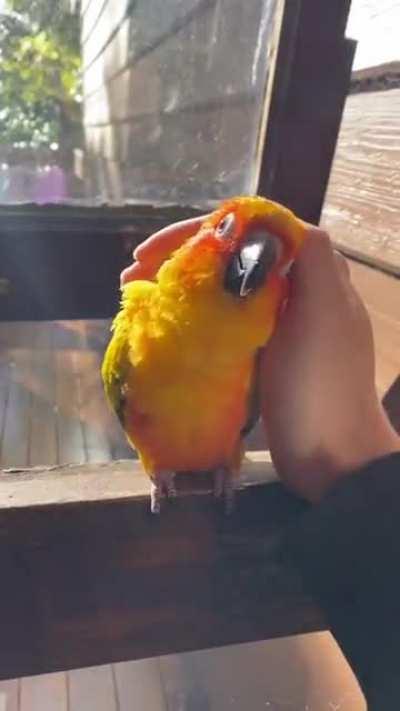 Gegen den dunklen, kalten Winter ein bisschen Liebe und Farbe