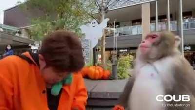 Вот в чем состоял его план?!