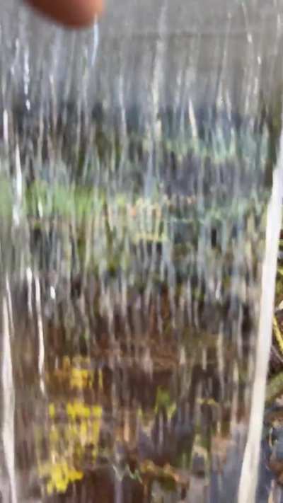 popped my cheap walmart pool