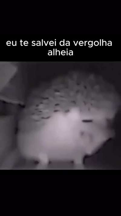 Obrigado ouriço-sama 🙏