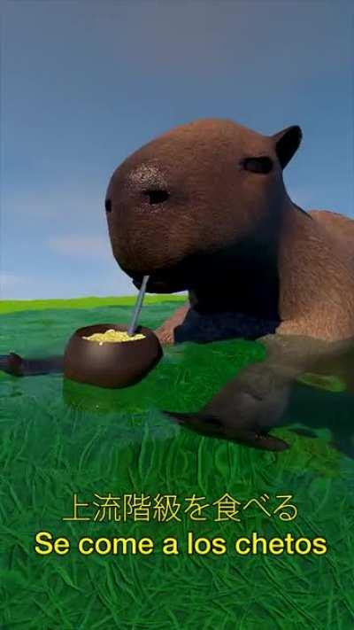 E L C A R P I N C H O