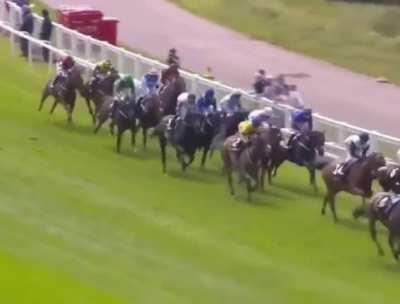 Horse knew the assignment