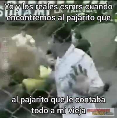 Yajo si los viewers te encontramos te lincharemos como al pollo