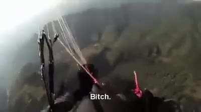 Bird flies into paraglider. Takes them both down. Survives to live another day.