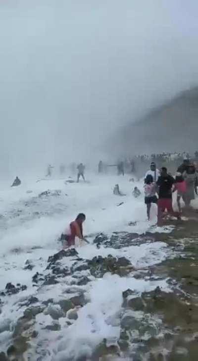 Do stupid things, win stupid prizes!