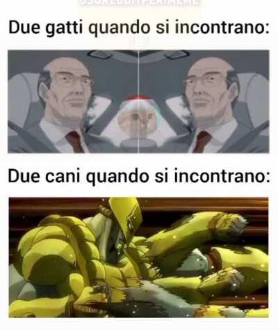Ecco una Jojo referenza tutta per voi