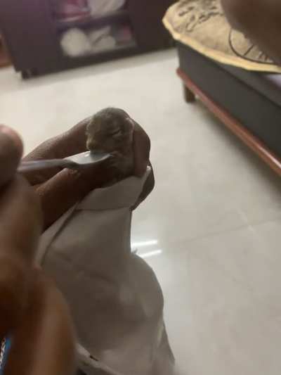 Enough 😍😍😍😍