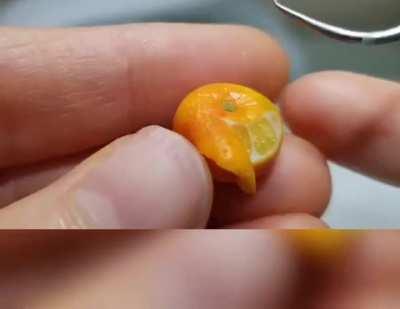 Incredible skill using polymer clay!