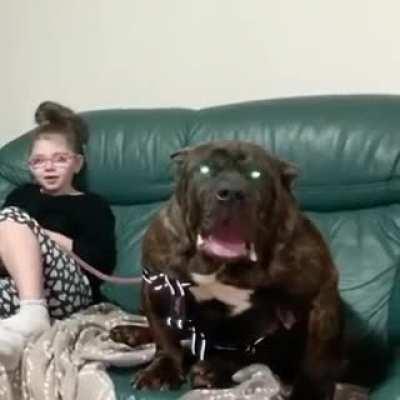 You left alone in one room with this thing. What would you do?