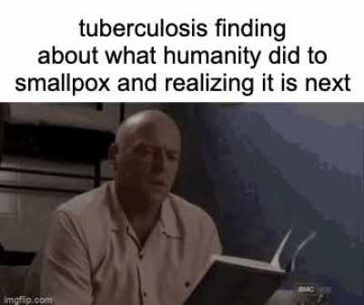 john green will rejoice