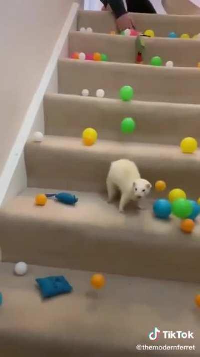 He was like AAAAAAAAAAAAAAA