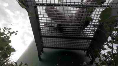 Do you want something to drink