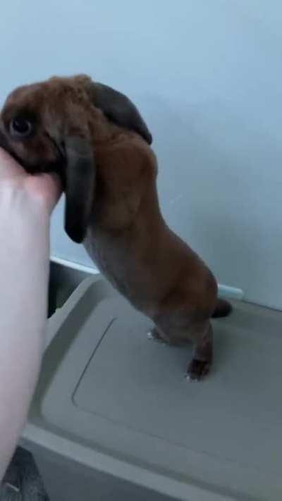 Stretching for banana