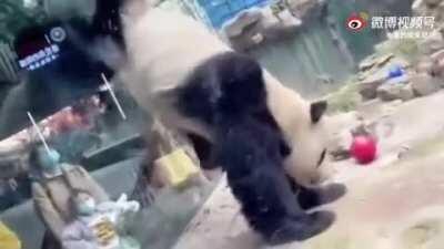 Tourists: what just happend?