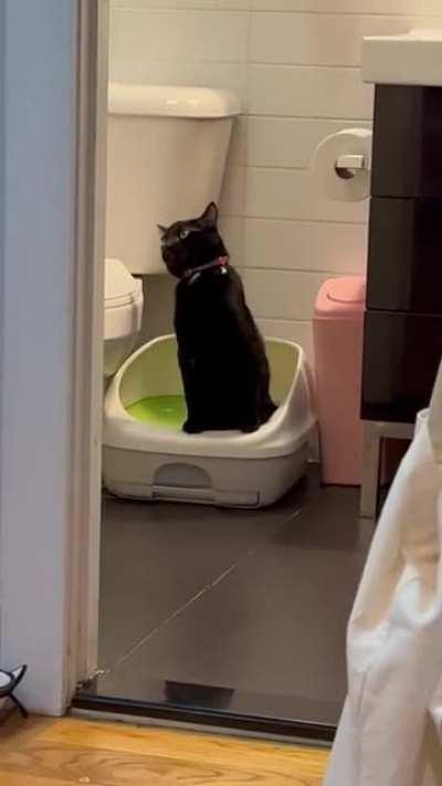 Тяжело идёт. Сухой корм всему виной!