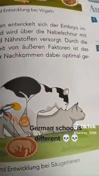what are german school on😭😭