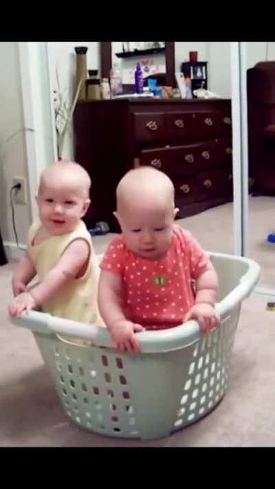 Twin babies have fun in a laundry basket until they fall over