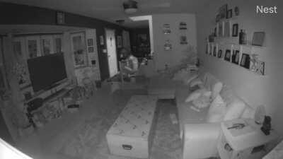 Fell down my stairs after a shower. Foot went through the baby gate and broke my toes. Picture in comments.