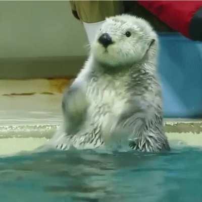 Give yourself a round of applause.