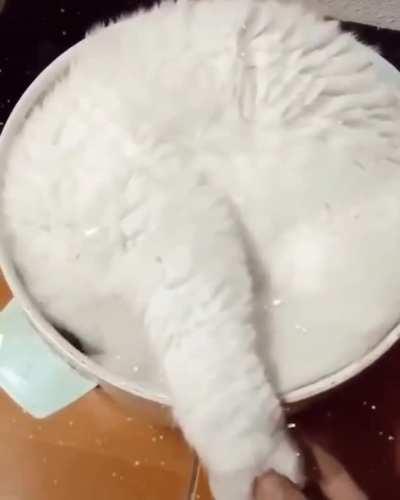 A Cup of Whipped Cream
