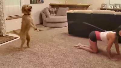 blursed parallel universe