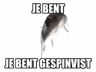 ik_ihe
