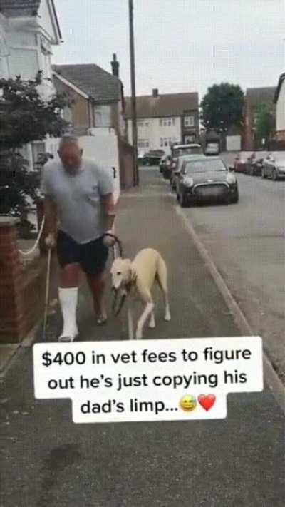 Dog copying his owner behaviour