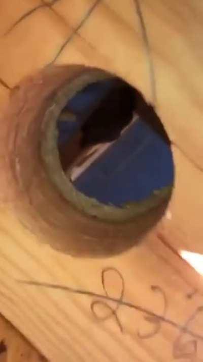 Да ты там ох**л, что ли?