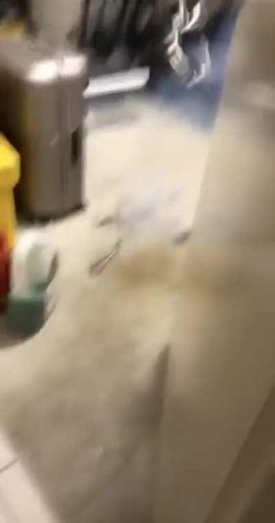 WCGW smashing a phone with a hammer