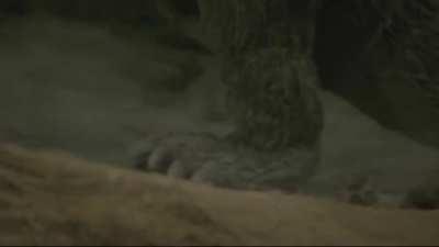 [Old thing I made] Godzilla’s on his way to steal your girl