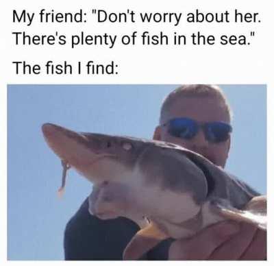 what fish is that im asking for a friend