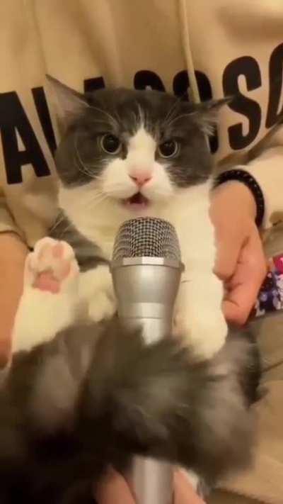 Sooooo fun - The new emergency broadcast system alert