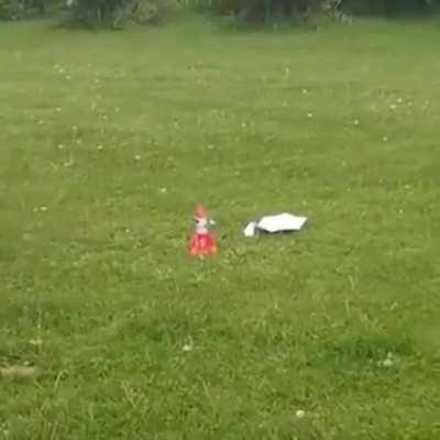 Kid saves chonk from rocket