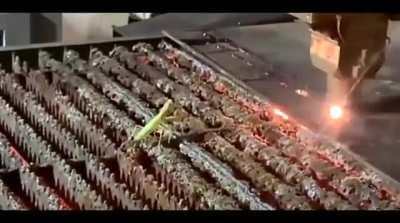 Mantis takes on Major Laser