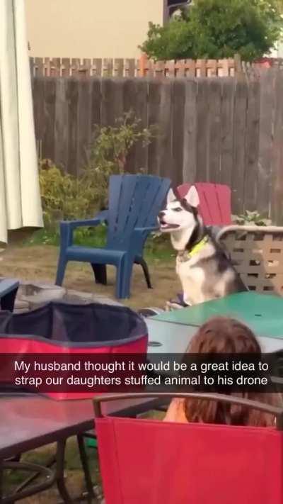 Giving your daughter's stuffed animal an aerial tour of the neighborhood