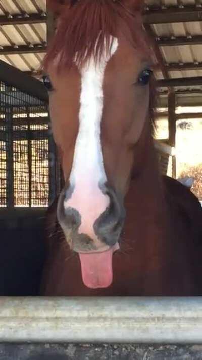 Calypso is known for his brawn, not his brain.