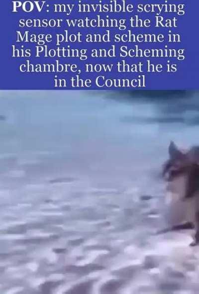 Whoops! I accidentally leaked some devious plotting and scheming. This is definitely *not* a warning to malefactors within the circle!