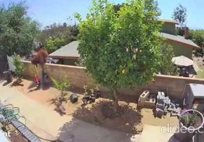 WTF did I just watch?