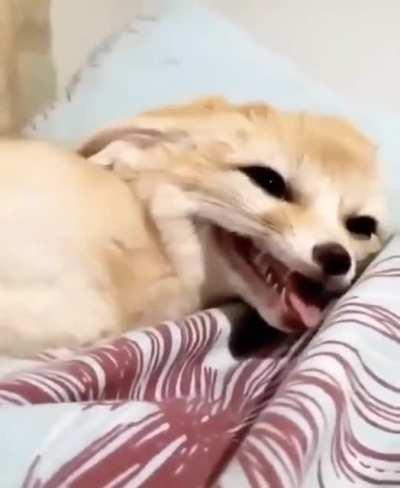 What’s so funny???