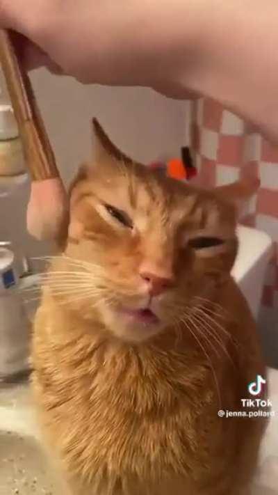 He’s so pretty 🥹