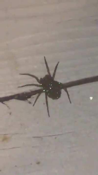 Ew…that’s deeply disturbing!