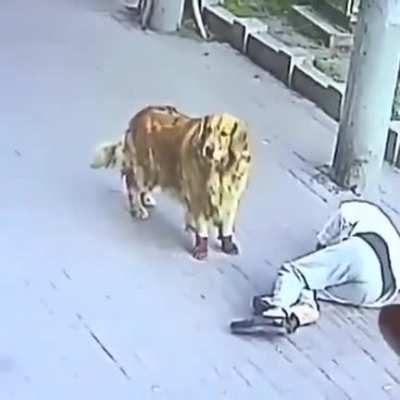 Did this really happened?