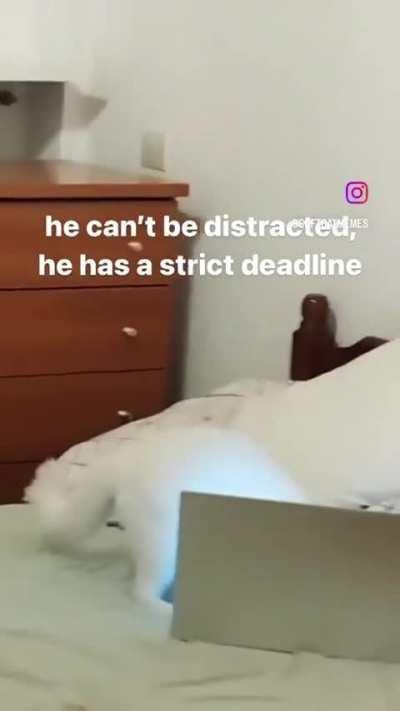 Wunkus has to meet his quota or HE’S FIRED!!