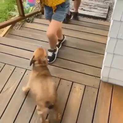 Cutest greeting I have ever seen😍