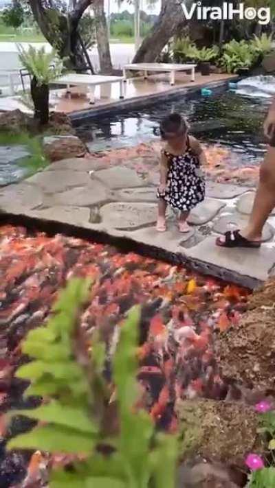 I need to know where in Thailand this place is