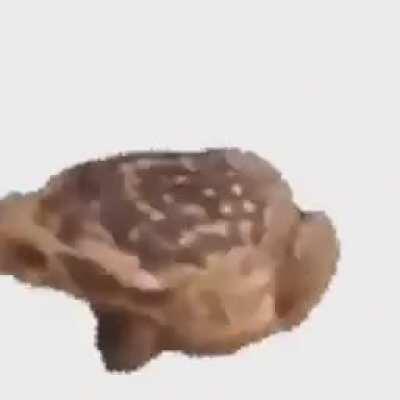 I bet you won’t watch the whole 2 minutes this video has