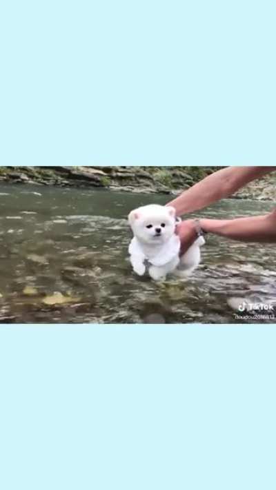 A great tip for those who can't swim but want to swim so bad