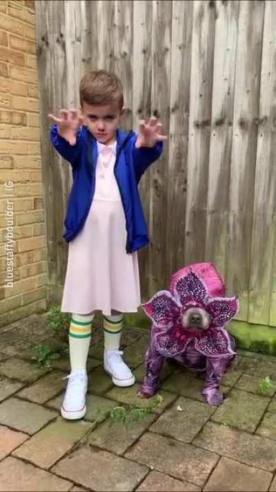 I'm keeping this demodogon