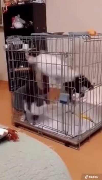 I think there's a bug